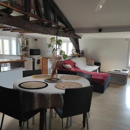 Appartement De Charme Coeur Historique Périgueux Esterno foto