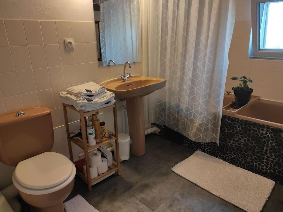 Appartement De Charme Coeur Historique Périgueux Esterno foto